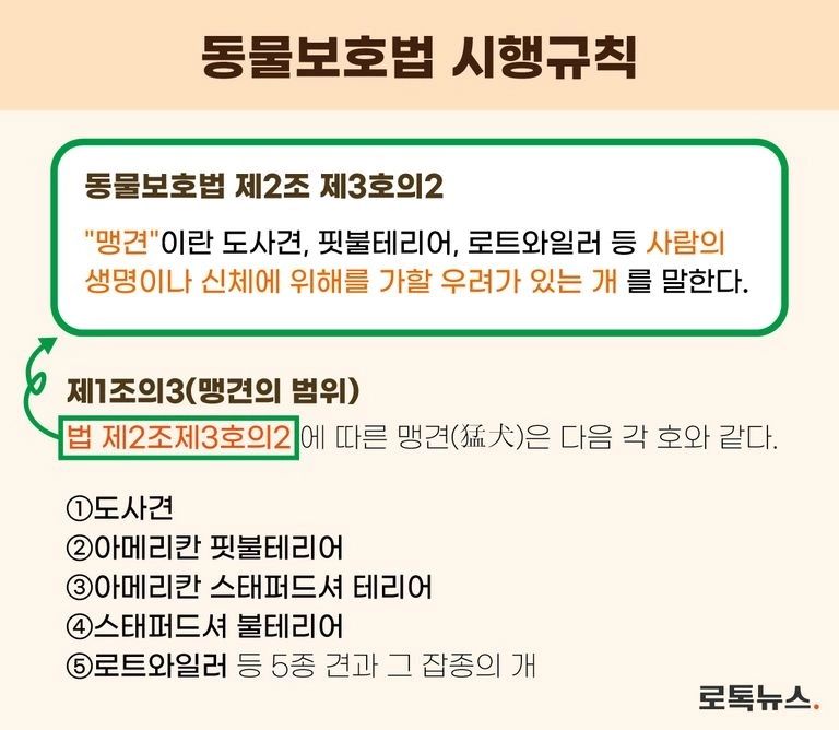 동물보호법과 동물보호법 시행규칙에 따른 '맹견'의 범위. /조소혜 디자이너