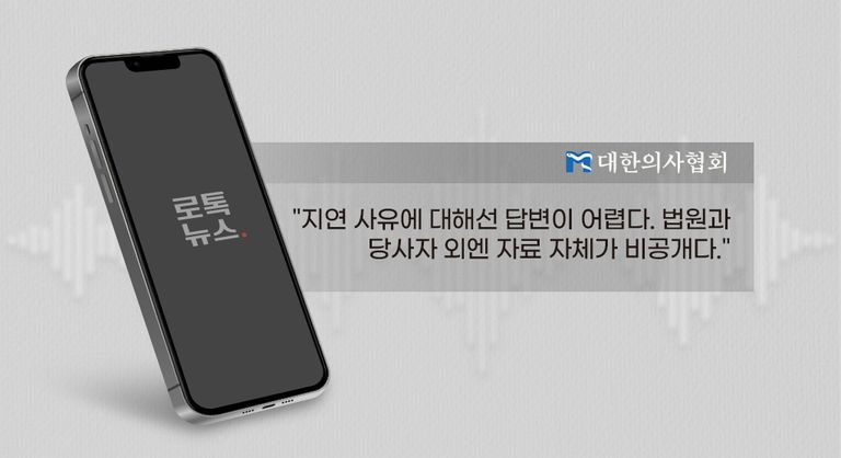 대한의사협회 관계자는 "지연 사유에 대해선 답변이 어렵다"고 밝혔다. /그래픽=조소혜 디자이너