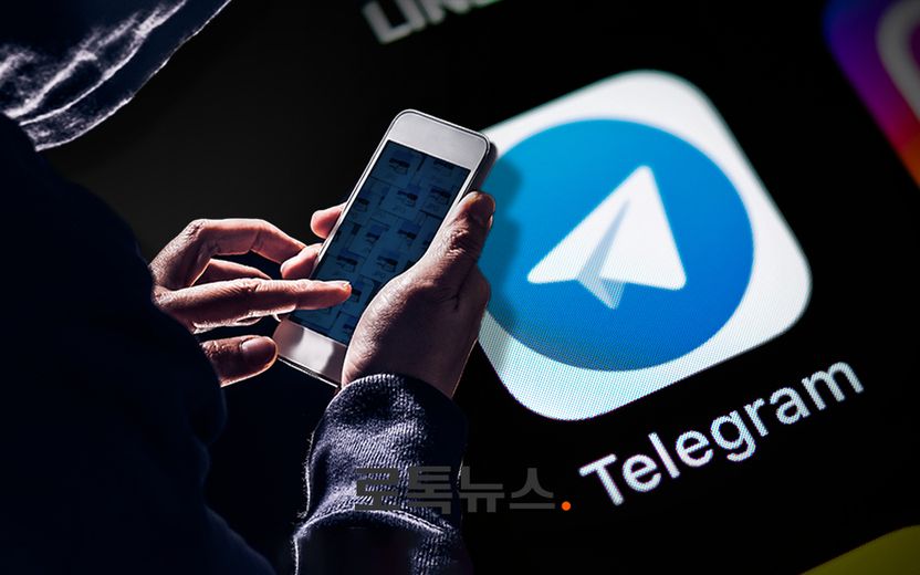 "'갓갓'과 '박사' 그 이상"…n번방보다 더 악랄한 '엘'번방 등장 기사 관련이미지