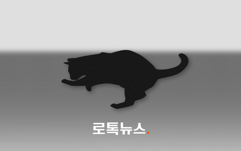 16층서 떨어져 죽은 고양이…법원은 '5시간 주인'이 던진 것으로 봤다 기사 관련이미지
