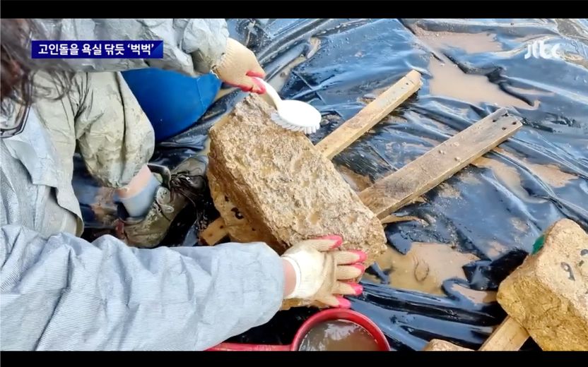 2000년 넘는 역사 복원하면서 '실수'로 문화재청과 협의 안 했다는 김해시…법적 처벌은? 기사 관련이미지