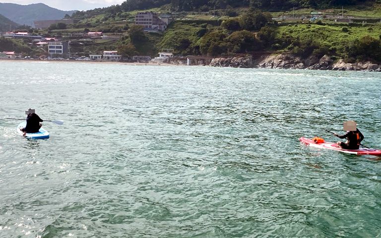 역대급 태풍 '힌남노' 북상하는데…바다서 패들보드 즐긴 2명, 처벌은? 기사 관련이미지