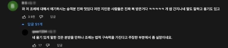 "조례는 법적 구속력이 없다"고 주장하는 일부 누리꾼. /유튜브 'YTN' 캡처