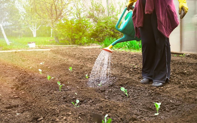 우리 집 마당 함부로 지나다니는 이웃, 주거침입으로 고소하고 싶다면 확인해야 할 '이것' 기사 관련이미지