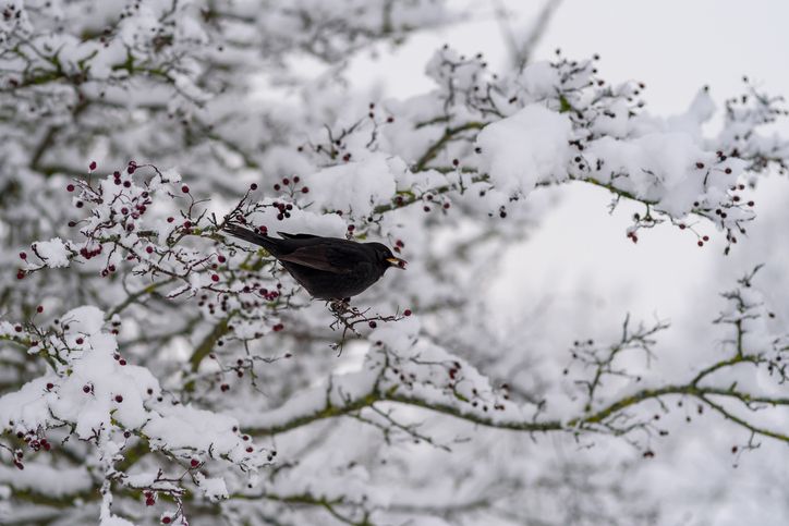 인생 2.5모작 이야기-겨울채비 기사 관련이미지