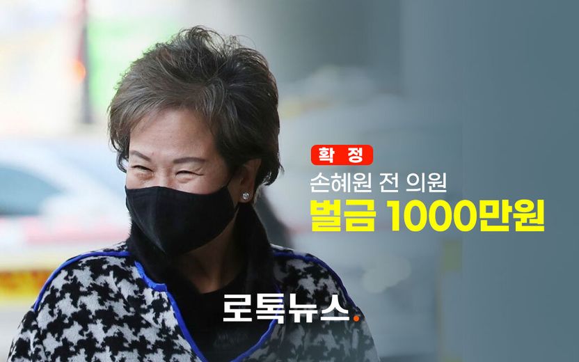 '목포 투기 의혹' 손혜원, 벌금 1000만원 확정⋯부패방지법 위반은 무죄 기사 관련이미지