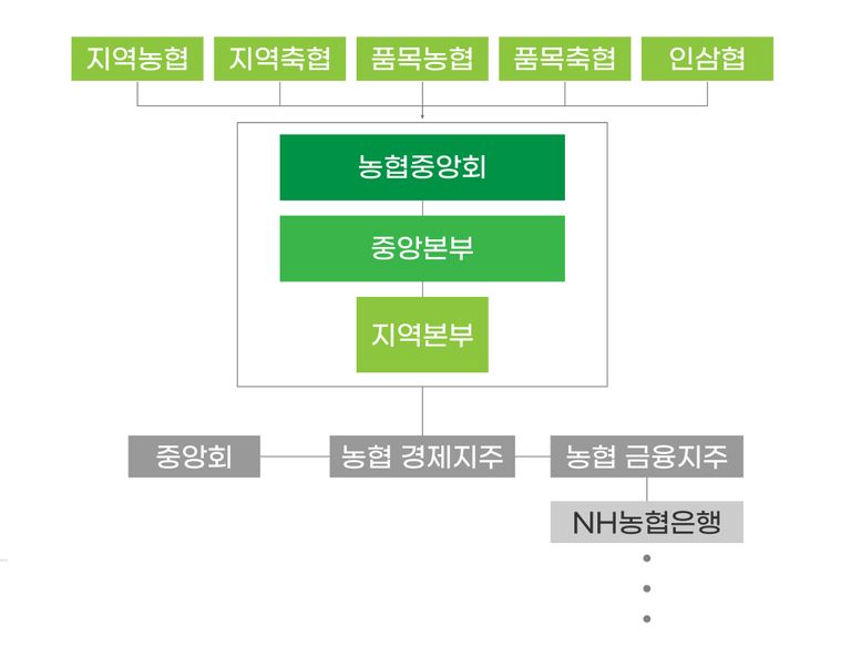 문제가 발생한 남해축협은 해당 지역 조합원에게 출자금을 걷어 결성한 협동조합이다. 이미지는 농협 조직현황. /그래픽=조소혜 디자이너