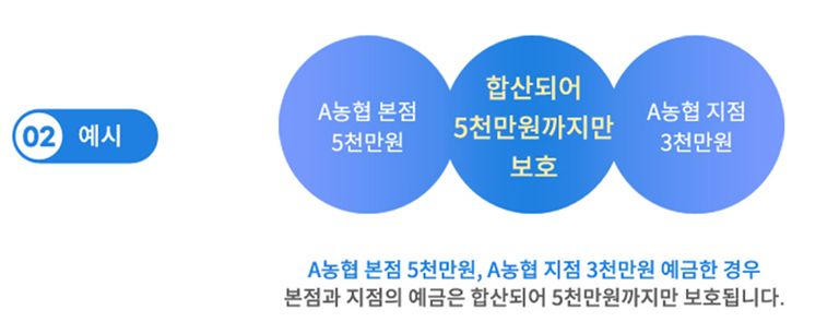 문제가 된 남해축협 특판 상품에 여러개 가입했어도, 최대 5000만원까지만 보호받을 수 있다. /농협상호금융예금자보호기금 캡처