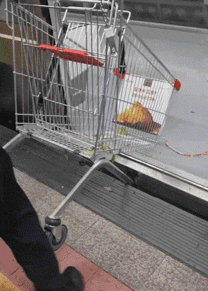 7호선 노원역 카트 빠짐 사고 당시. /온라인커뮤니티 '보배드림' 캡처·편집=조소혜 디자이너