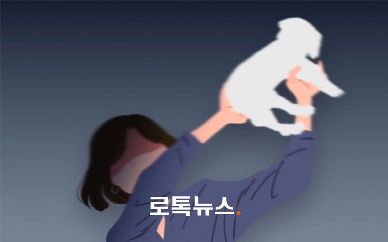 '쿵'소리와 함께 찌그러진 차 지붕…15층 여성이 던진 강아지였다 기사 관련이미지