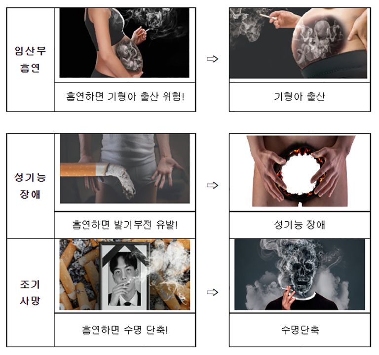 새롭게 바뀌는 담뱃갑 경고그림·문구 비교. /보건복지부