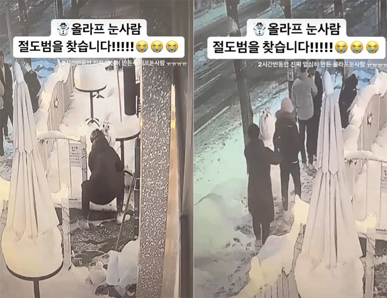 올라프 눈사람 도둑, 처벌 어렵다?…변호사들 "'코' 때문에 절도죄 가능합니다" 기사 관련이미지