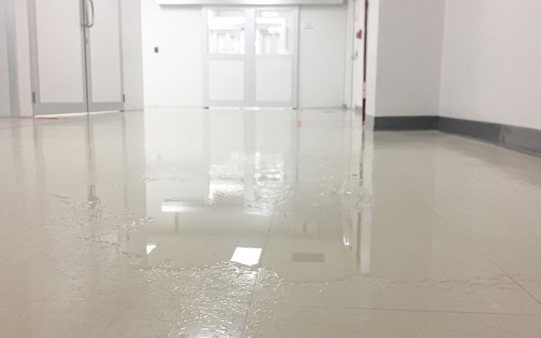 물걸레 청소한 복도에서 넘어져 사망한 '슬리퍼' 환자⋯병원 책임은 어디까지? 기사 관련이미지