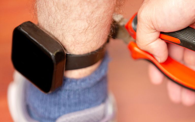 전자발찌 끊고 튀면, '지은 죄' 상관없이 얼굴·나이에 신체 특징까지 공개 기사 관련이미지