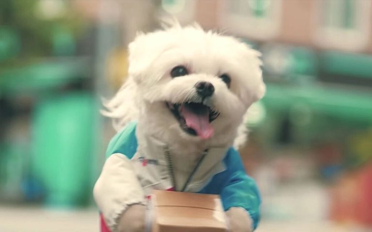 "심장병 치료비가 없어서⋯" 이 말로 1만명 속인 '경태 아부지', 법정구속 기사 관련이미지