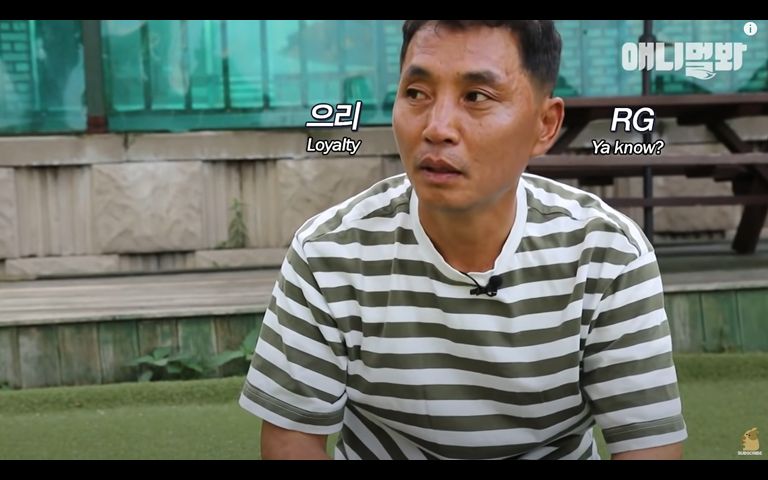 '성추행 의혹' 반려견 훈련사 이찬종…"악의적 무고" 주장 기사 관련이미지