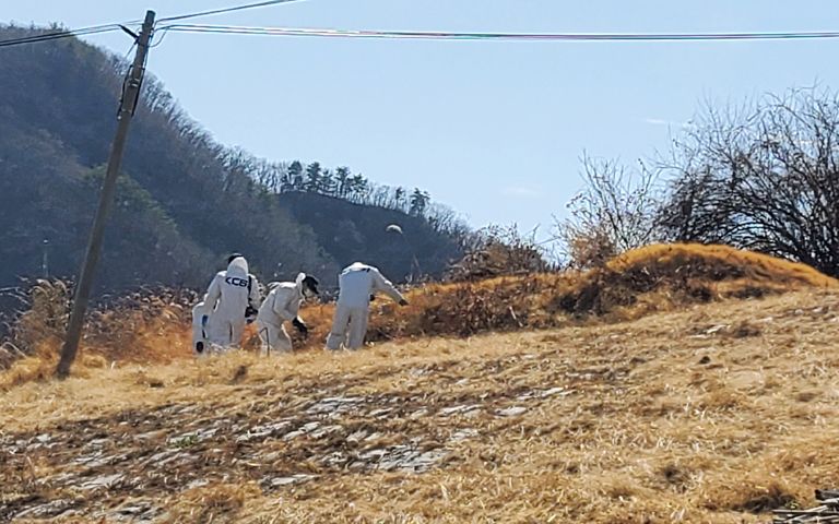 이재명 부모 산소 파헤친 사람, 잡히면 무슨 처벌 받을까? 기사 관련이미지
