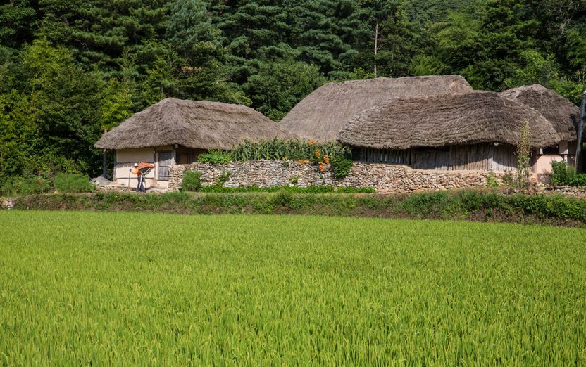 손자가 할머니로부터 부동산 증여받았는데, 아버지의 채권자가 ‘사해행위’ 주장…. 기사 관련이미지