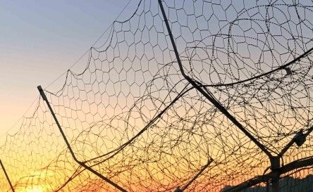 北 하사 1명 귀순…강원도 고성 군사분계선 걸어서 넘었다. 기사 관련이미지