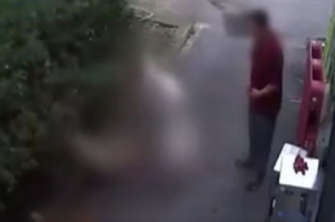 길고양이 물어 죽이는 반려견을 ‘멀뚱히 지켜만 본 견주’…어떤 처벌 받을까? 기사 관련이미지