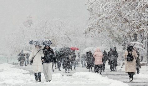 서울 누적 적설량 최대 40㎝…이틀째 ‘눈 폭탄’ 교통 대란 기사 관련이미지