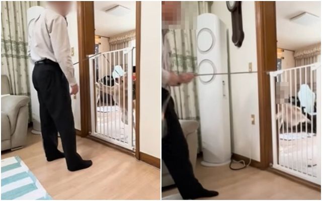 개 목줄 당겨 벽에 쿵쿵…‘어둠의 개통령’ 유튜버 결국 기사 관련이미지