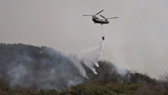 산불 피해 “사상 최대·최악”…사상자 56명, 대부분 60대 이상 기사 관련이미지