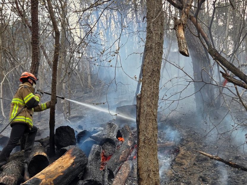 산림청 “오늘 산불 기필코 잡는다”…비 오고 바람 잠잠해져 진화 유리 기사 관련이미지