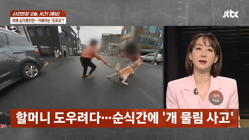 진돗개에 물려 결혼식까지 취소됐는데… 견주의 충격적 반응 기사 관련이미지
