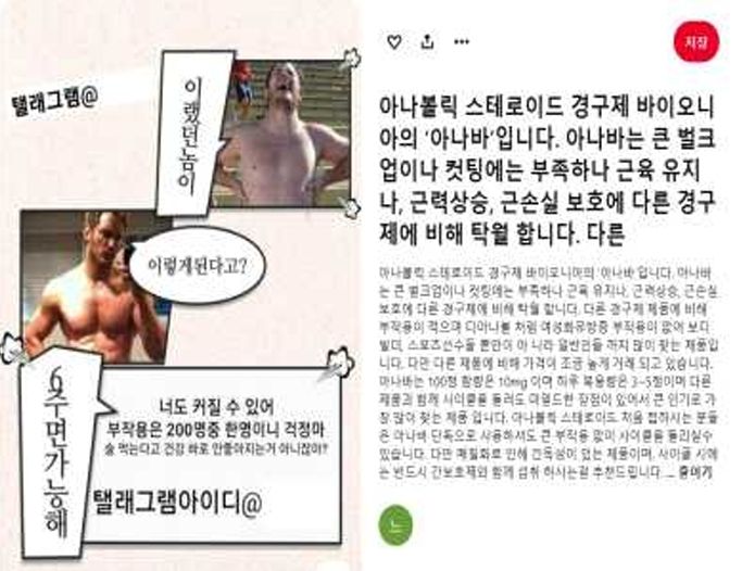 '근육강화·몸짱 효과 표방' 단백동화스테로이드 온라인 불법광고 95건 적발 기사 관련이미지