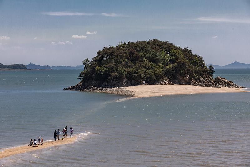 갈라진 바다의 비극… ‘목섬 사고’ 옹진군 책임 10% 인정 기사 관련이미지