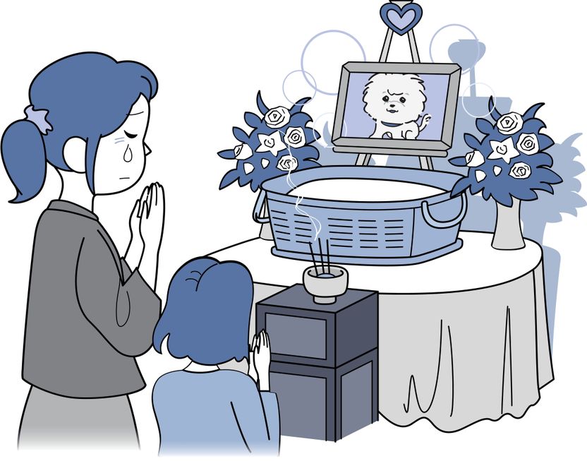 자동차 충돌 사고로 반려견 사망…위자료 받을 수 있나? 기사 관련이미지