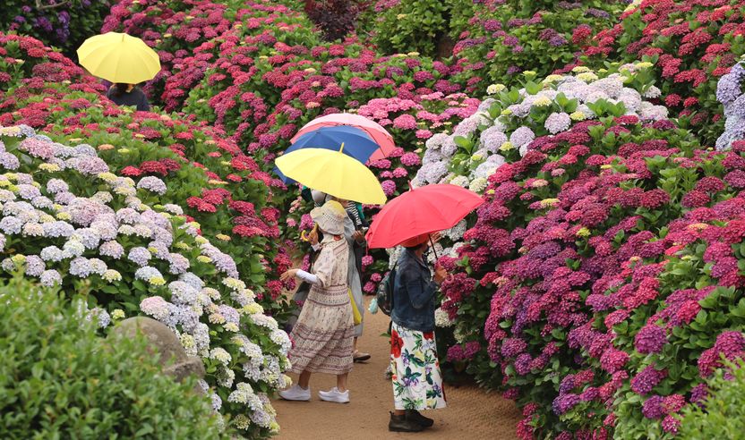 ‘112 신고도 재난 대응’…경찰, 장마 전 선제적 대응 체계 점검 기사 관련이미지