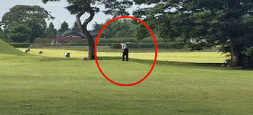 외국인 관광객도 놀란 '왕릉 골프 스윙'⋯단순 해프닝 아닌 중범죄다 기사 관련이미지