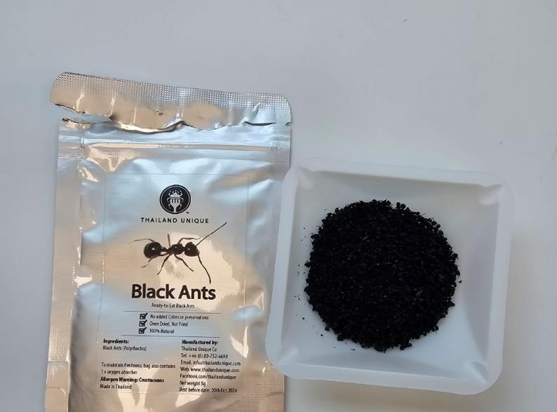 개미 토핑으로 1억 번 식당, 최대 '무기징역'에 벌금 6억까지 가능하다 기사 관련이미지