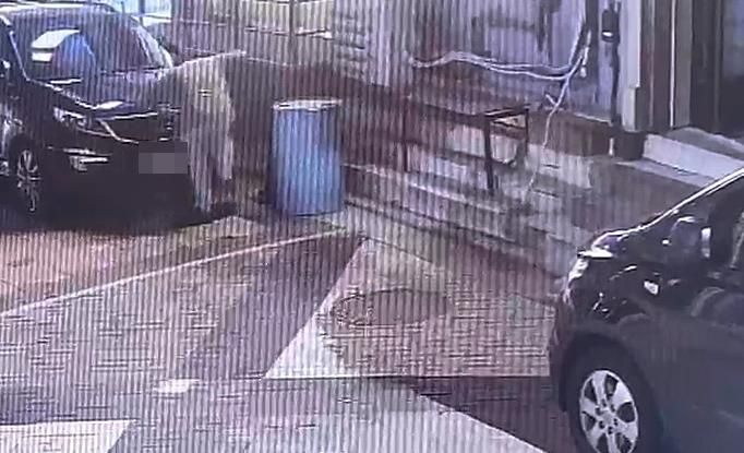 길고양이 안전고깔에 가두고 때리고 불태워…한밤의 잔혹 범행, 처벌은 어디까지 기사 관련이미지