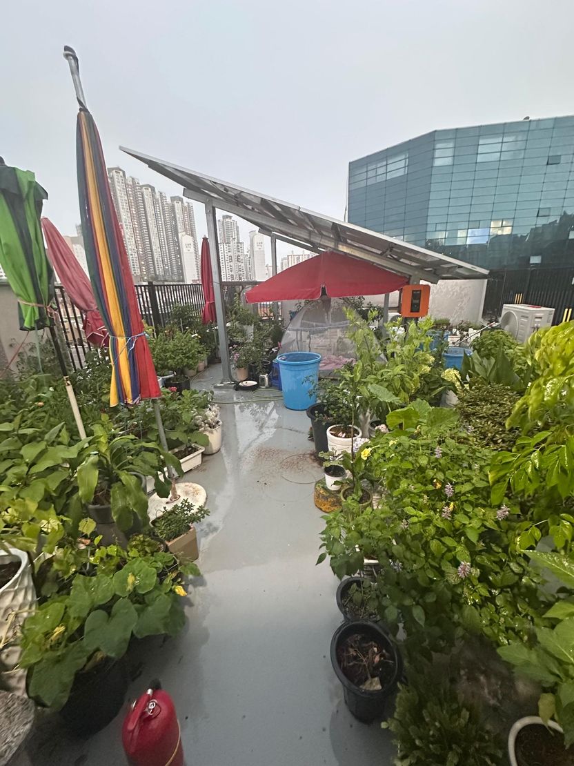 빌라 옥상에 '개인 식물원' 차린 이웃…단순 민폐 아닌 명백한 '소방법' 위반 기사 관련이미지