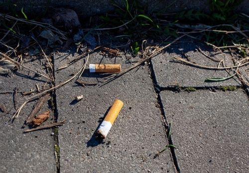 담배꽁초 버리고 경찰 보자마자 '줄행랑'…제 발 저린 177억 사기범, 딱 걸렸다 기사 관련이미지