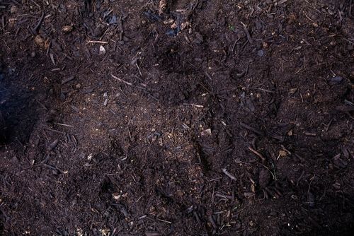 성매매 강요, 끓는 물 고문…15세 소녀 시멘트로 묻은 10대들, 일부는 이미 출소했다 기사 관련이미지