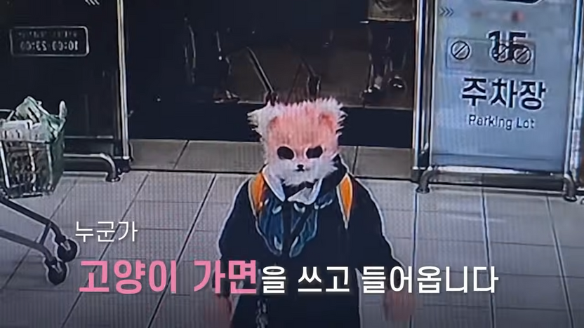 고양이 가면 쓴 20대 여성, 아이들 향해 흉기 휘두르고 "야옹"… 어떤 처벌 받을까 기사 관련이미지
