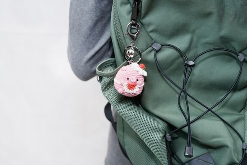 지하철서 남의 키링 슬쩍…몰래 뜯어갔다간 징역 6년 철퇴 맞습니다 기사 관련이미지