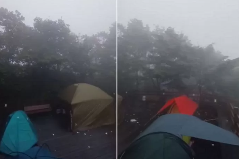 텐트족에 점령당한 춘천 전망대, “발 디딜 틈도 없어” 단속 강화될까? 기사 관련이미지