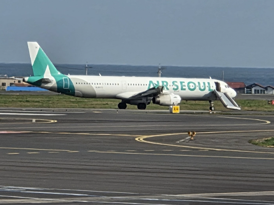 비행기 비상문 열면 징역 대신 벌금 1억… 솜방망이 처벌 끝낼까 기사 관련이미지
