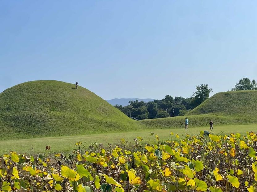 신라 고분서 아이 뛰어노는데 찰칵⋯ 아이는 처벌 피해도 부모는 아닙니다 기사 관련이미지