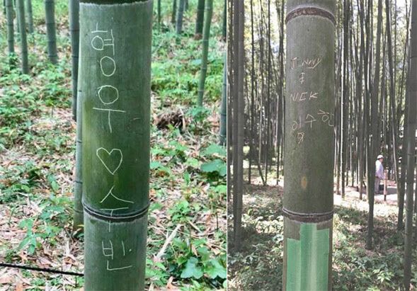 형우야 수빈아, 보고 있니? 교토 대나무숲에 새긴 낙서, 이런 처벌 받는다 기사 관련이미지