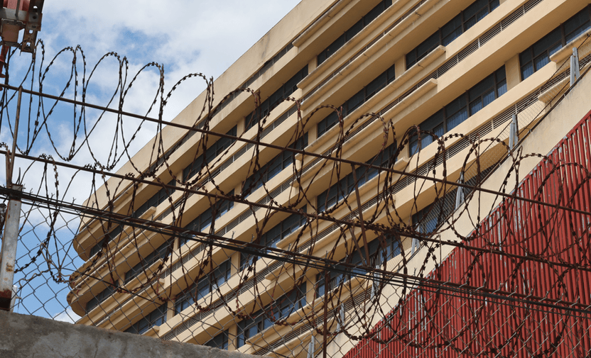 철조망에 둘러싸인 캄보디아 망고단지, 그곳에서 시작된 20일의 악몽 기사 관련이미지