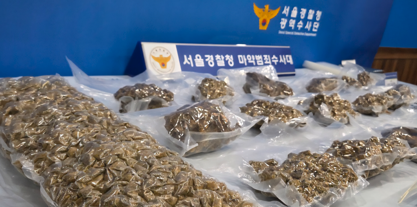 현역 해군 상병, '대마 10kg' 밀수 유통…징역 10년 내외 '중형' 예상 기사 관련이미지