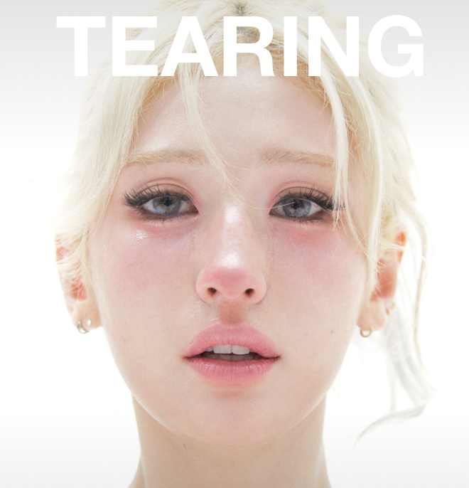 전소미 브랜드 ‘적십자 유사 표장’ 고발…전문가 “유죄 가능성 높다” 기사 관련이미지