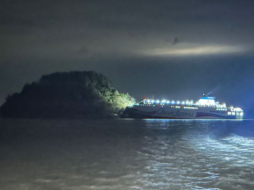 휴대폰 보느라 핸들 놓았다... 여객선 좌초시킨 항해사 죄목은 '이것' 기사 관련이미지