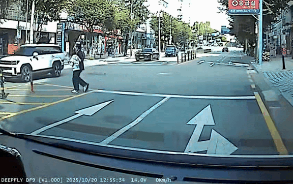 무단횡단하다 딱 걸린 96억 사기범... 경찰 촉이 빛난 순간들 기사 관련이미지